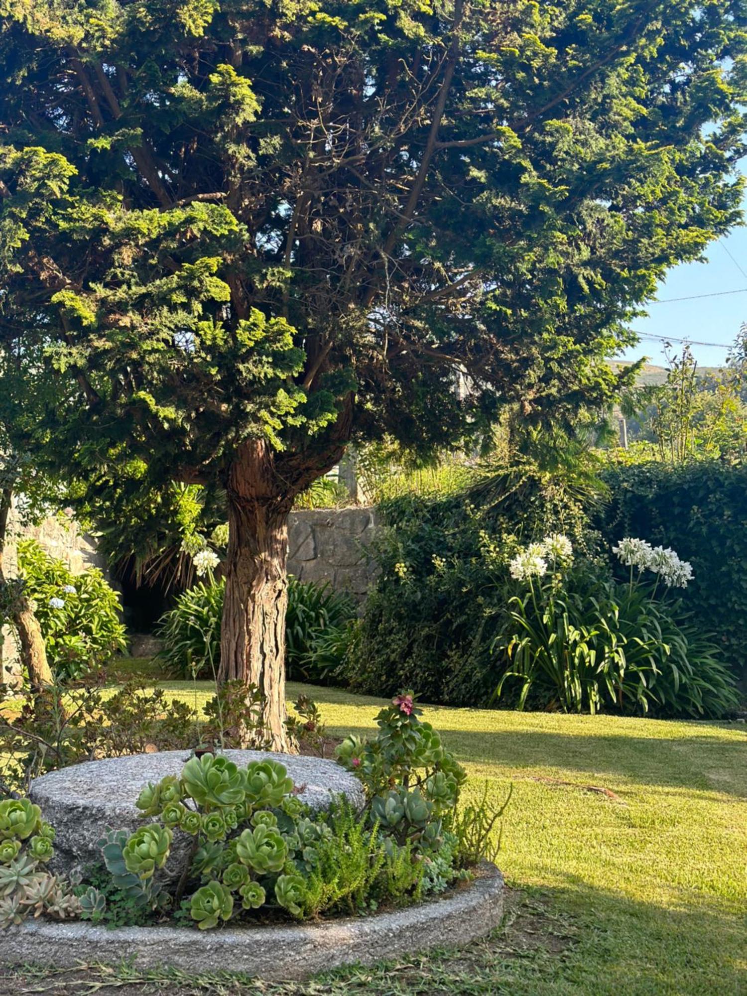 Vila Guia In Valdreu Μπράγκα Εξωτερικό φωτογραφία